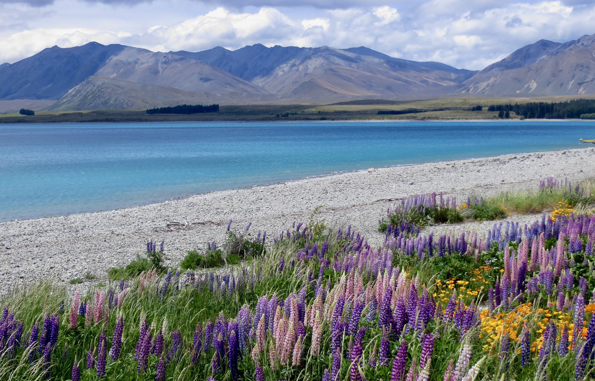 Lake Tekapo and the Hooker Valley track in one day